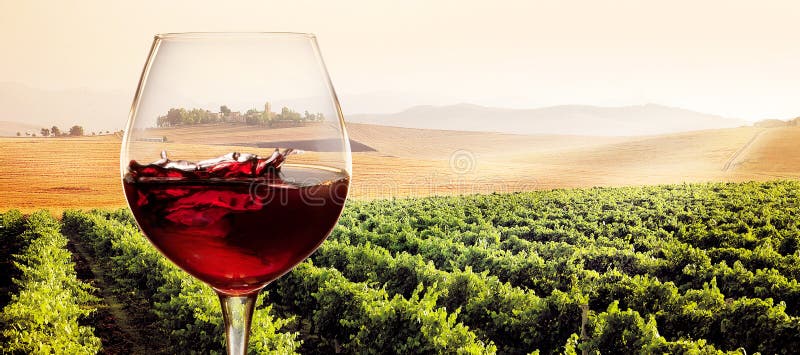 Glas rode wijn in zonnig wijngaardlandschap