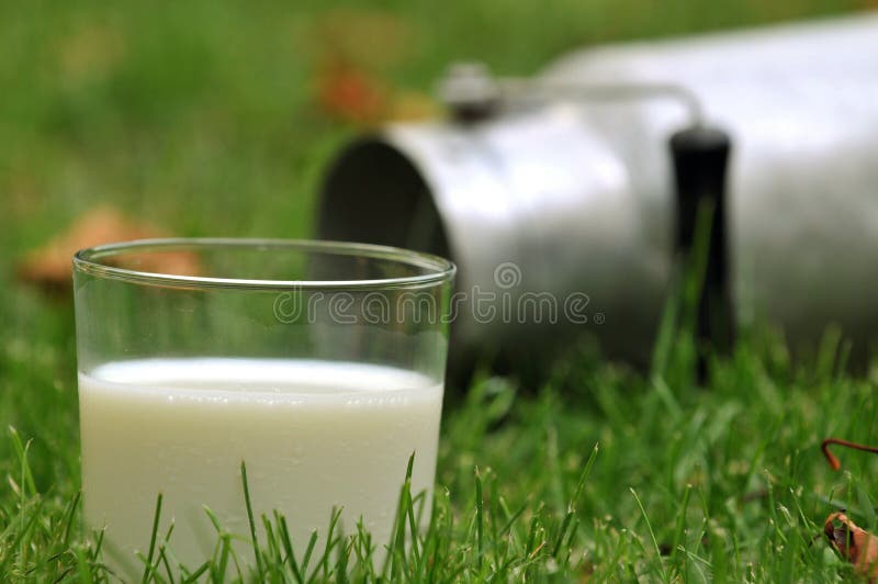 Glas verse melk in het gras royalty-vrije stock afbeelding Glas verse melk in het gras royalty-vrije stock afbeelding