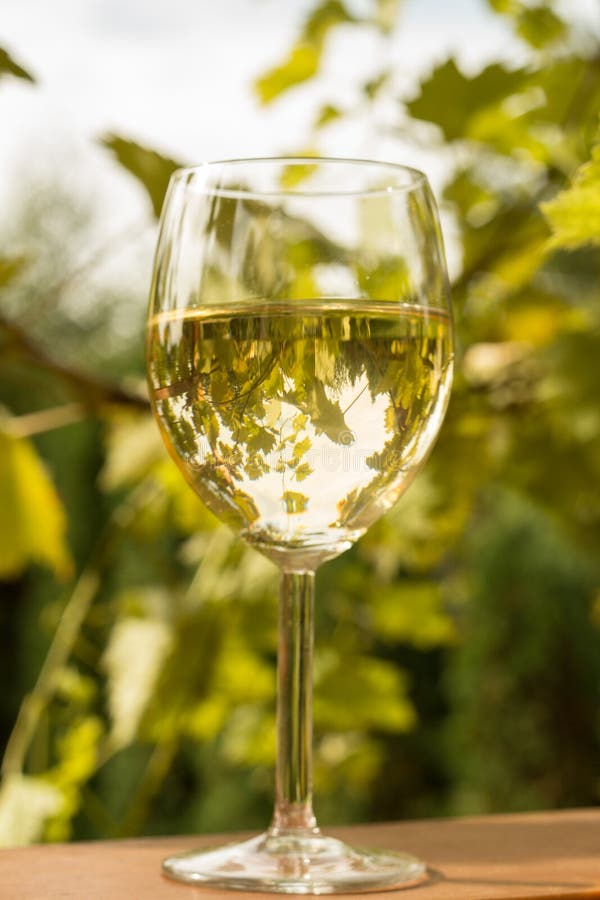 Glas Wein Im Garten Stockbild Bild Von Garten Glas 33965769
