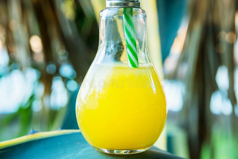 Glasflaska för ljus kula med nytt pressande orange tropiska frukter Juice Standing på Agavebladet Solljus i bakgrund royaltyfri foto Glasflaska för ljus kula med nytt pressande orange tropiska frukter Juice Standing på Agavebladet Solljus i bakgrund royaltyfri foto