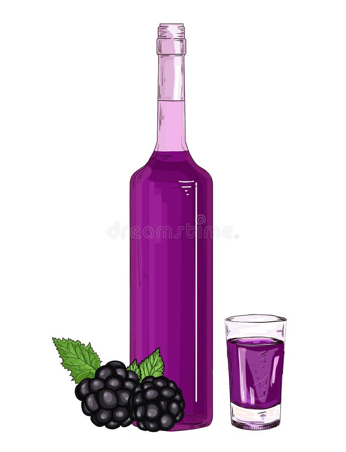 Glasfles en geschoten met de vector van de braambessenlikeur stock illustratie Glasfles en geschoten met de vector van de braambessenlikeur stock illustratie