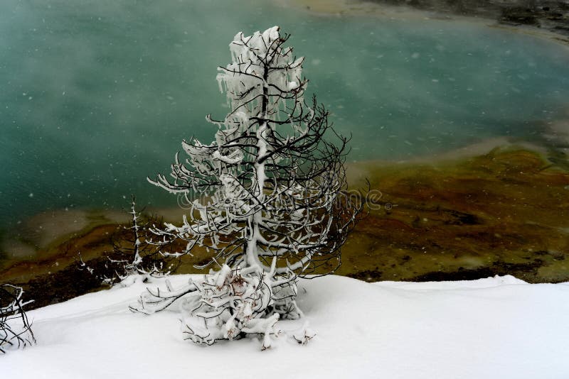 Glaskristaller vintersnöande geotermisk pool, gulsten fotografering för bildbyråer