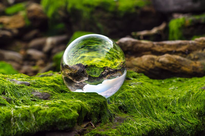 glass ball lens lies on stones covered with green mud and reflects the landscape of the world upside down