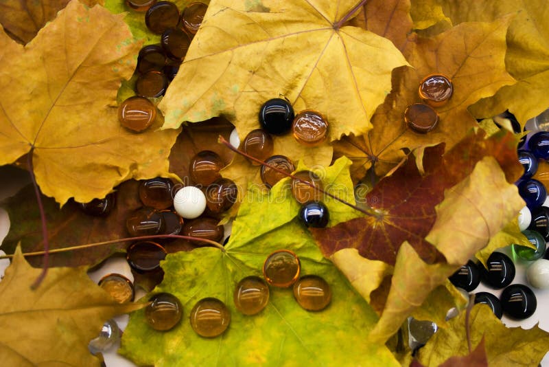 Glass balls on autumn foliage