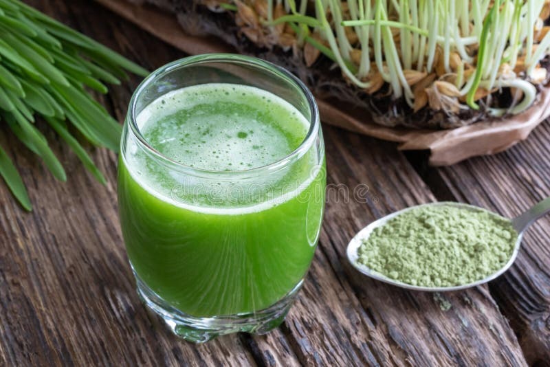 A glass of barley grass juice, with fresh barley grass in the ba