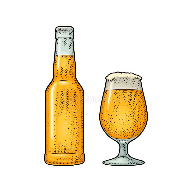 Hand-drawn sketch of beer mug and beer bottle isolated on white background.  Vector vintage engraved illustration. 21565490 Vector Art at Vecteezy