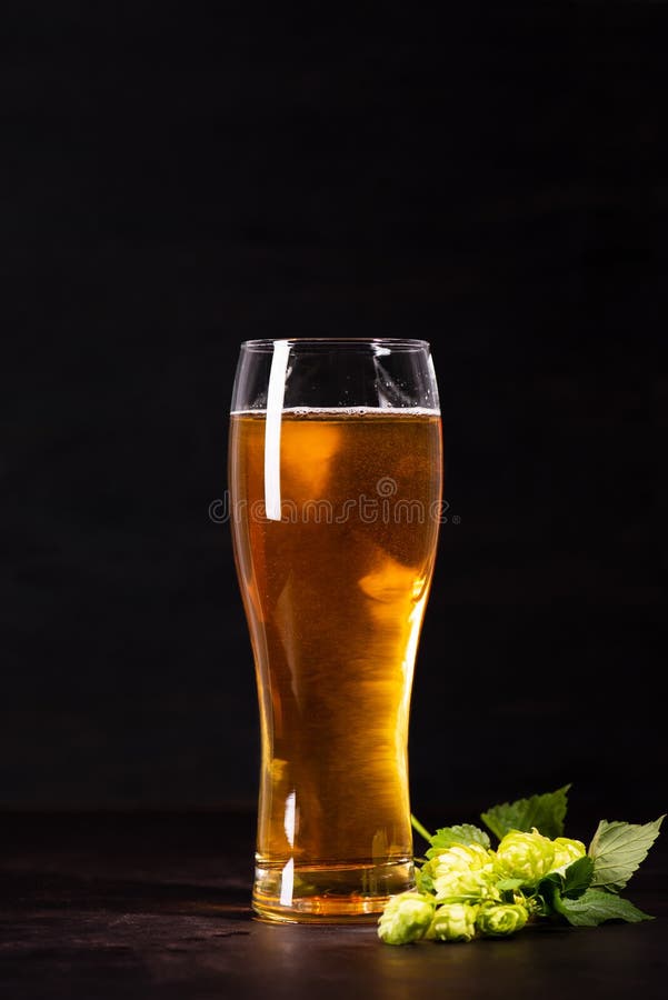 Glass of beer with hop cones on dark wooden background. October fest background stock photo Glass of beer with hop cones on dark wooden background. October fest background stock photo