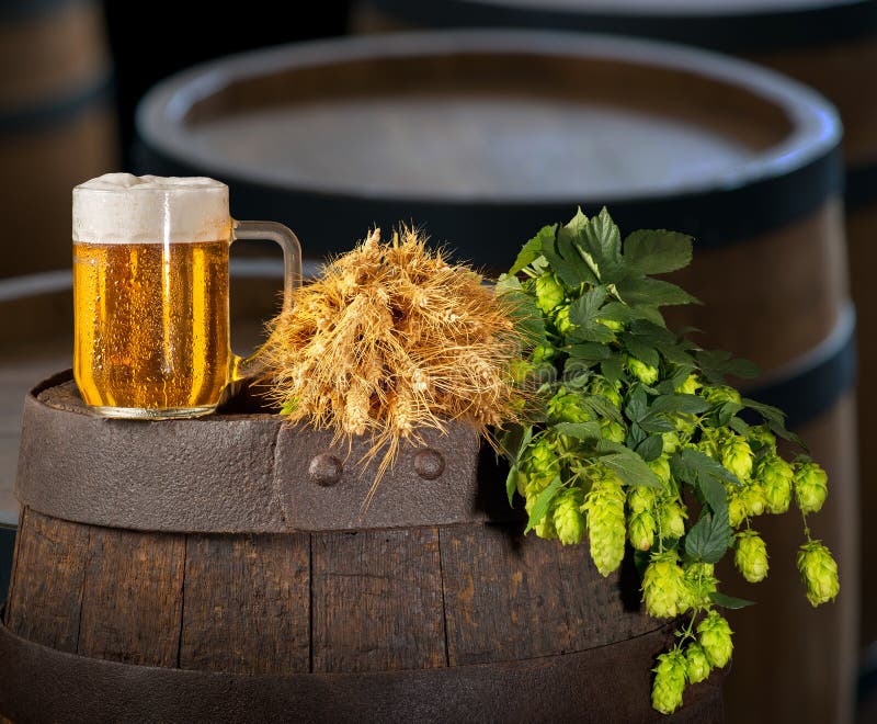 Glass of Beer with Hops and Barley Stock Image Image of retro, wooden