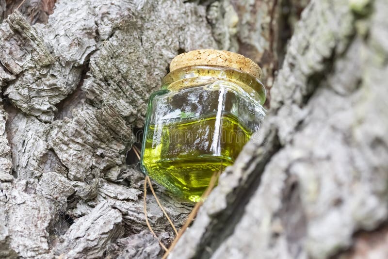 Glass bottle with cork cap with green-yellow nectar oil. Located on the bark of coniferous wood stock image Glass bottle with cork cap with green-yellow nectar oil. Located on the bark of coniferous wood stock image