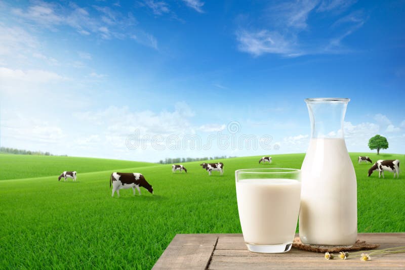 Glass and bottle of fresh milk on wooden table