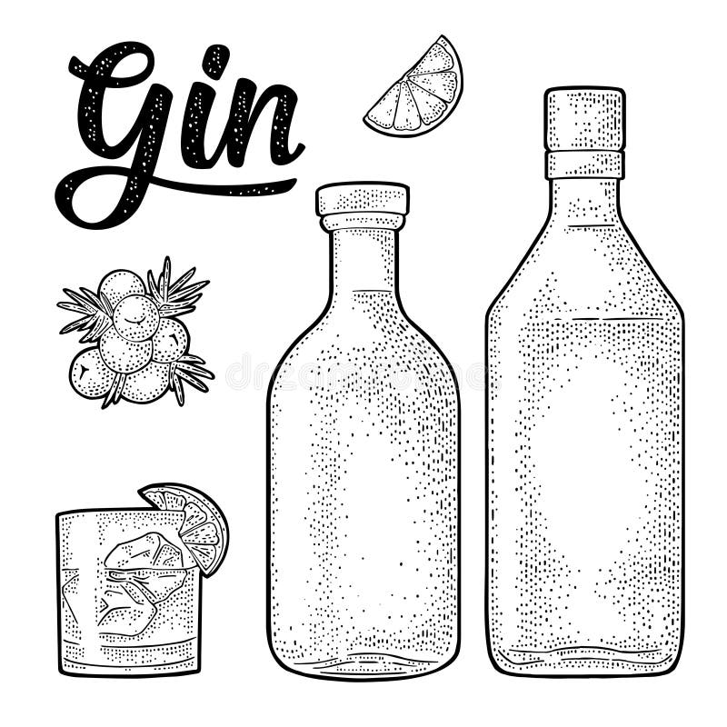 Download Gin Stock Illustrations - 7,723 Gin Stock Illustrations ...