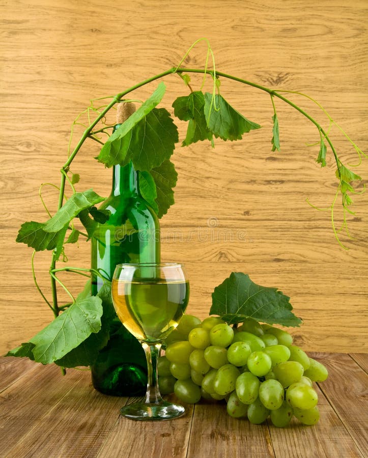 Glass And Bottle Of Wine With A Vine Stock Photo Image of harvest, warm 23090248