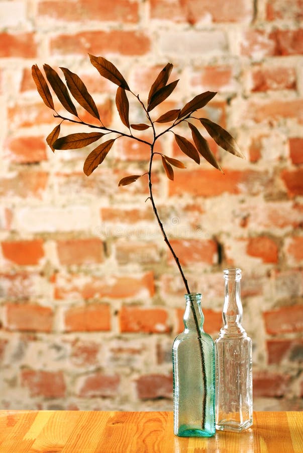 Glass Bottles With Dry Twig Picture. Image 4947345