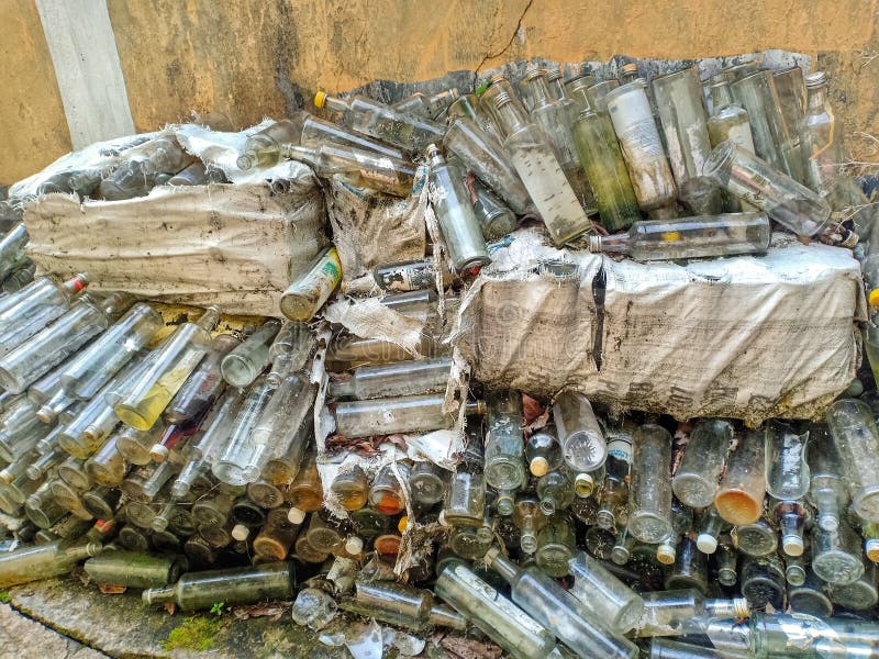 Glass Bottles for Recycling Stock Image Image of tree, wood 208126269