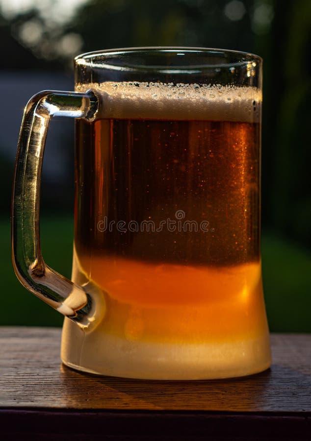 Glass of cold light beer royalty free stock image