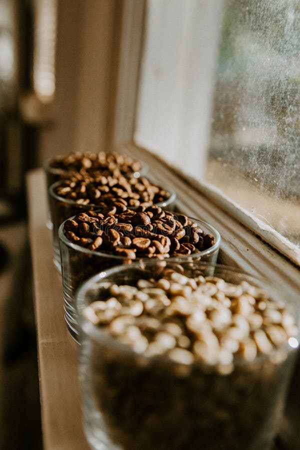 Glass Container Cups of Coffee Espresso Beans Roasted and Raw Green