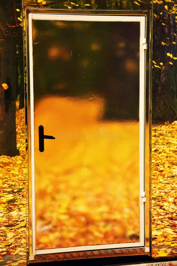 Una porta a vetri e foglie gialle a terra.