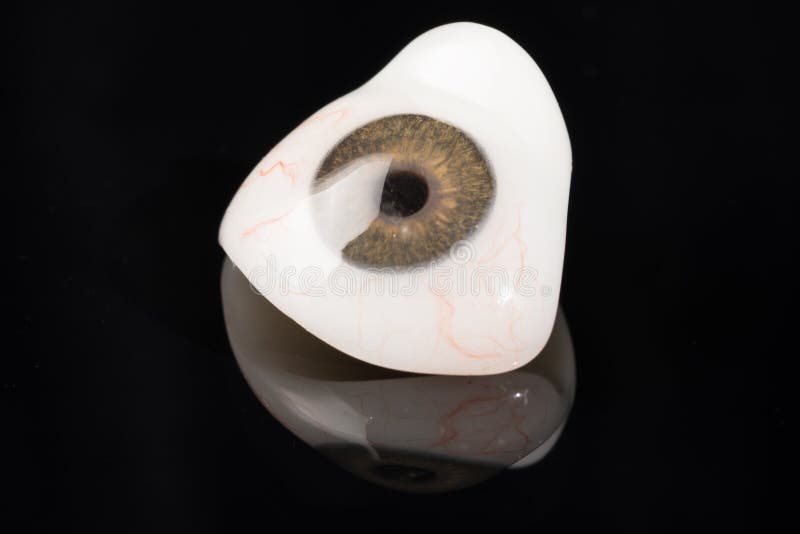 Glass Eye Prosthetic or Ocular Prosthesis on Black Stock Photo Image