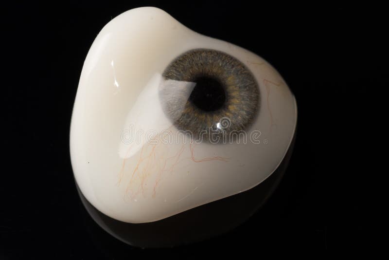 Glass Eye Prosthetic Or Ocular Prosthesis On Black Stock Photo Image