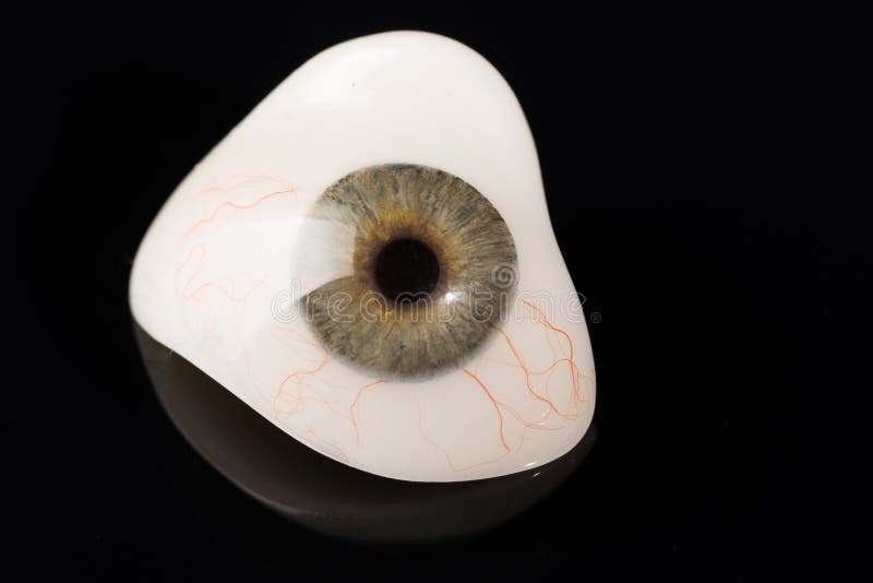 Glass Eye Prosthetic or Ocular Prosthesis on Black Stock Photo Image