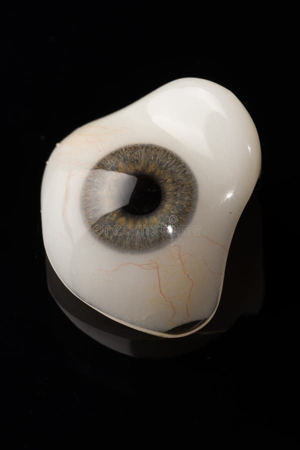 Glass Eye Prosthetic Or Ocular Prosthesis On Black Stock Photo Image