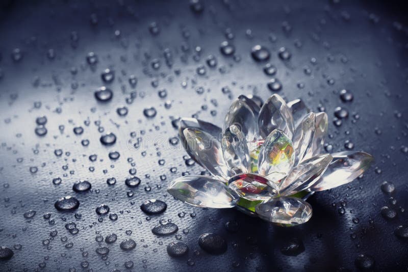 Glass is a flower on a black surface, water droplets. Glass is a flower on a black surface, water droplets