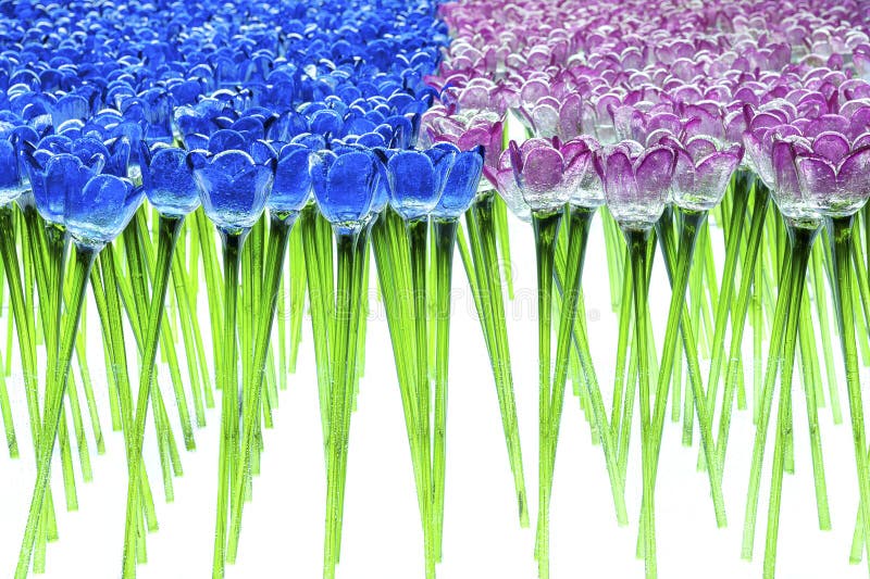 Glass Flower Tulip stock photo. Image of abstract, freshness 81440420