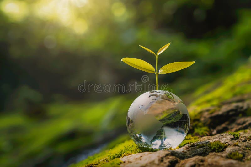 glass globe ball with tree growing and green nature blur background. eco earth day concept