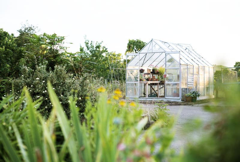 Glass greenhouse in garden stock image. Image of pots 117398613