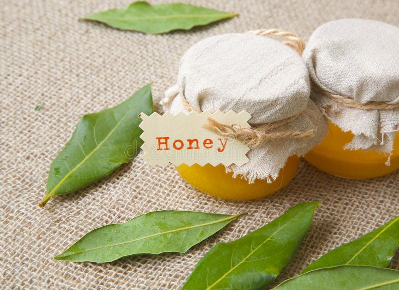 A Glass of Honey and Bay Leaves Stock Photo Image of gourmet