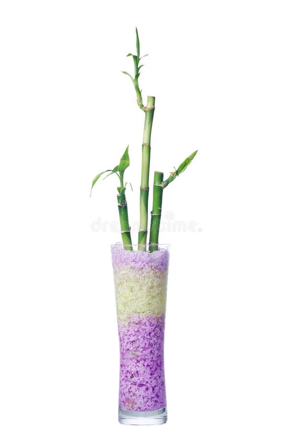 Glass jar with bamboo stock photo. Image of background 34351846
