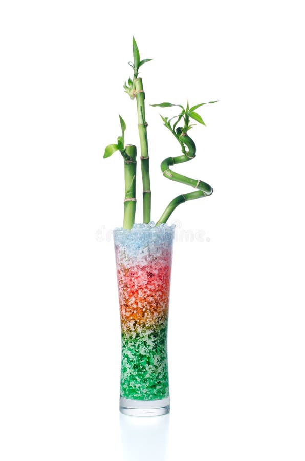 Glass jar with bamboo stock photo. Image of bamboo, plant 16679066