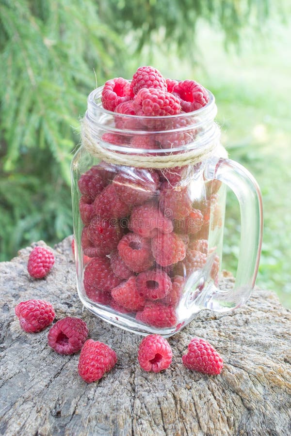 Glass Jar with Raspberries on a Tree Stump in the Forest Stock Image