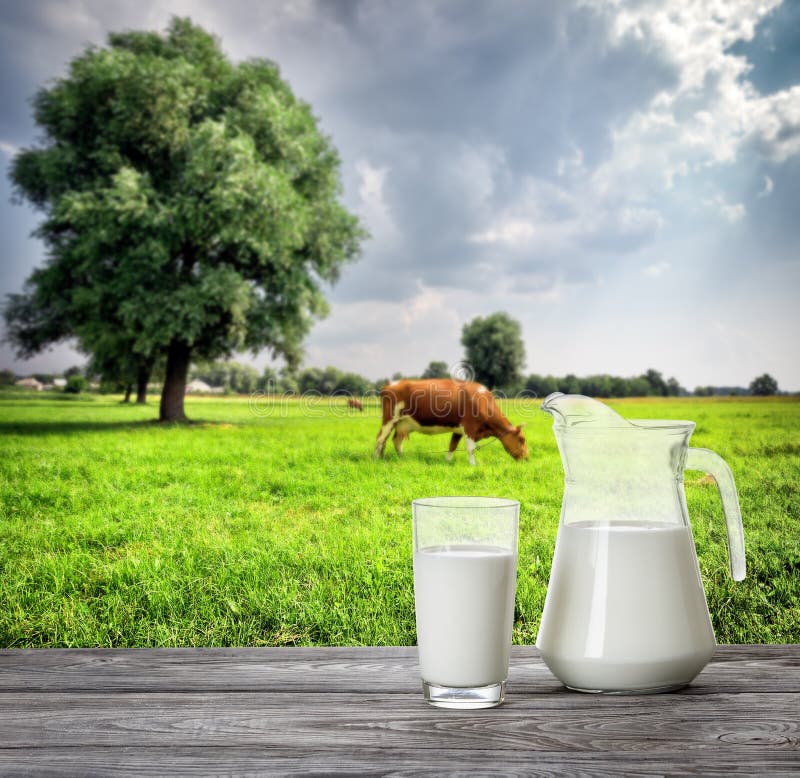 Glass and jug of milk against background of cow and pasture