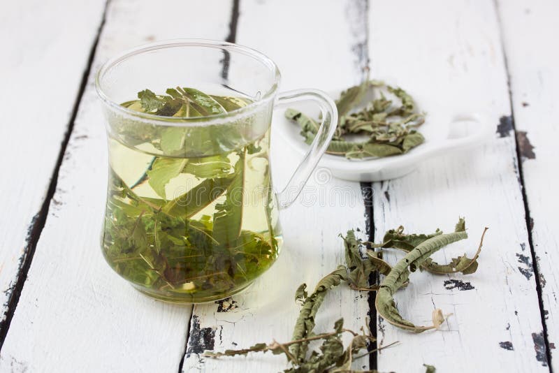 A glass of lemon balm tea stock image A glass of lemon balm tea stock image