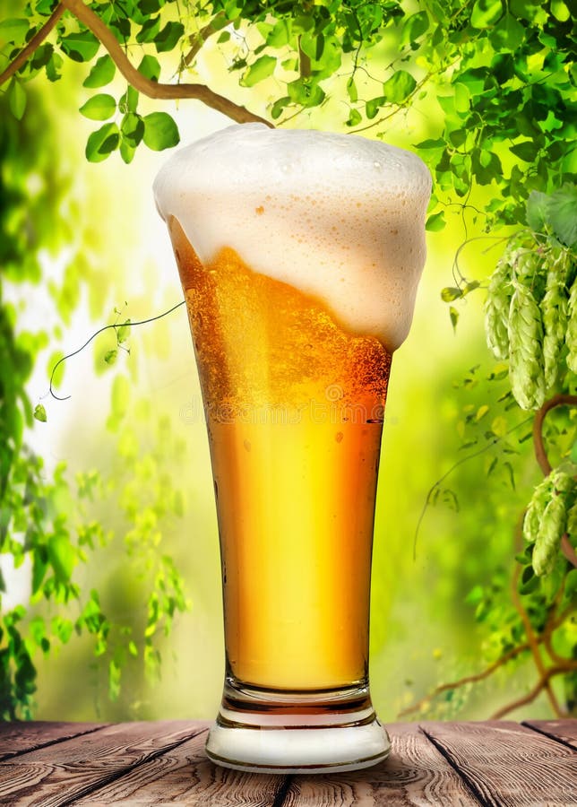 Beer and hops stock image. Image of glass, colorful 196592709