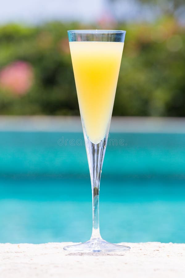 https://thumbs.dreamstime.com/b/glass-mimosa-cocktail-pool-nosing-tropical-resort-vertical-56995427.jpg
