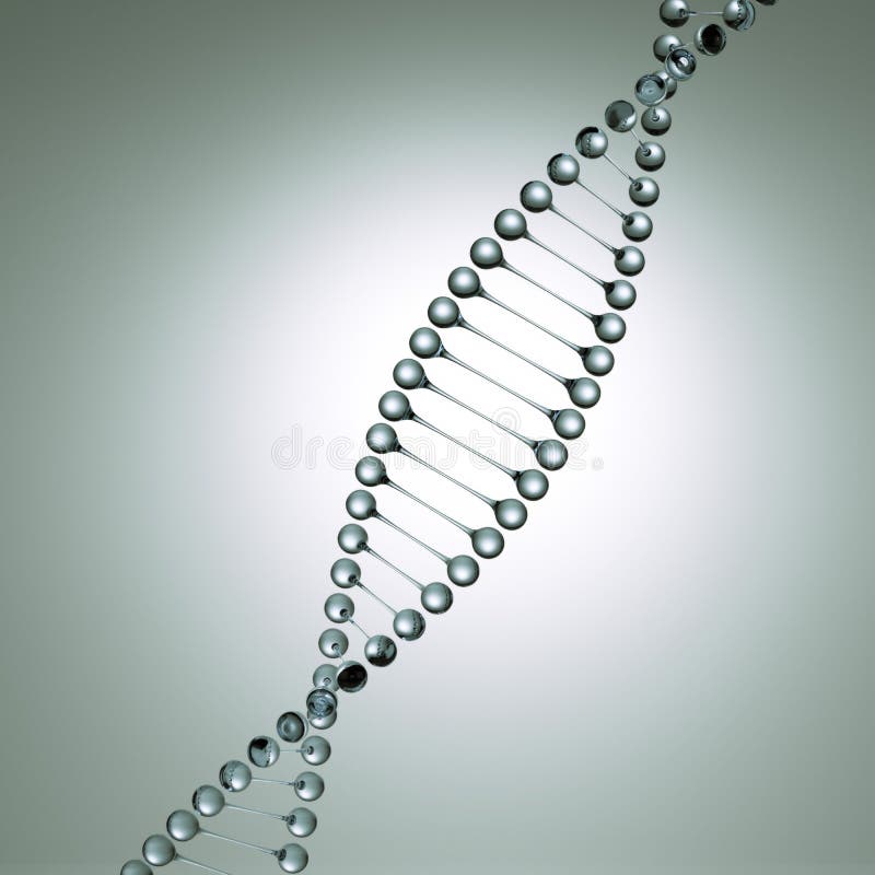 Glass model of the dna molecule