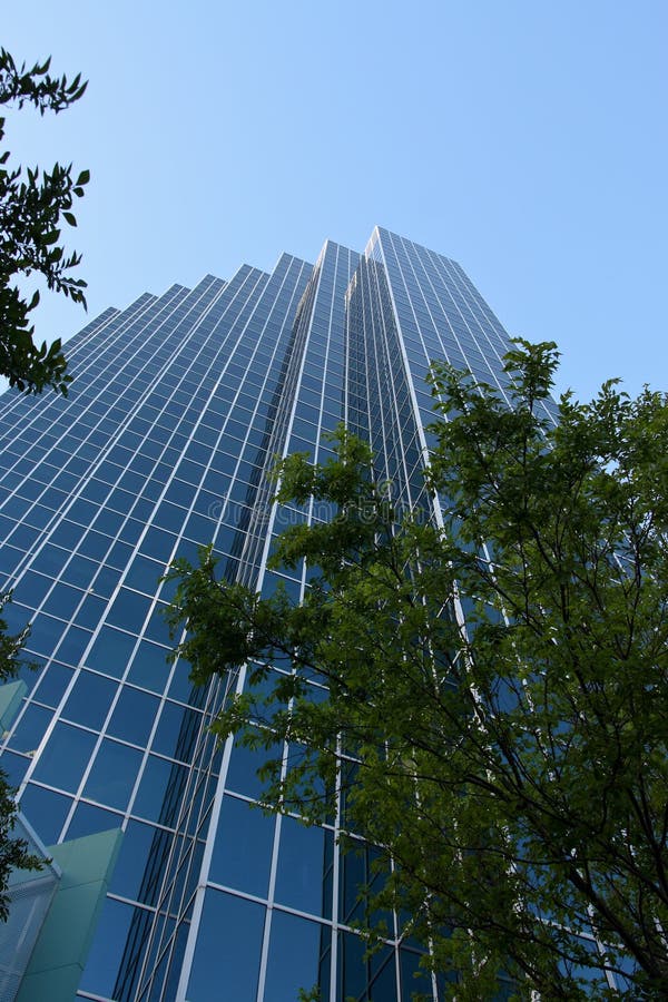 Tall glass office building towering over trees. Tall glass office building towering over trees.