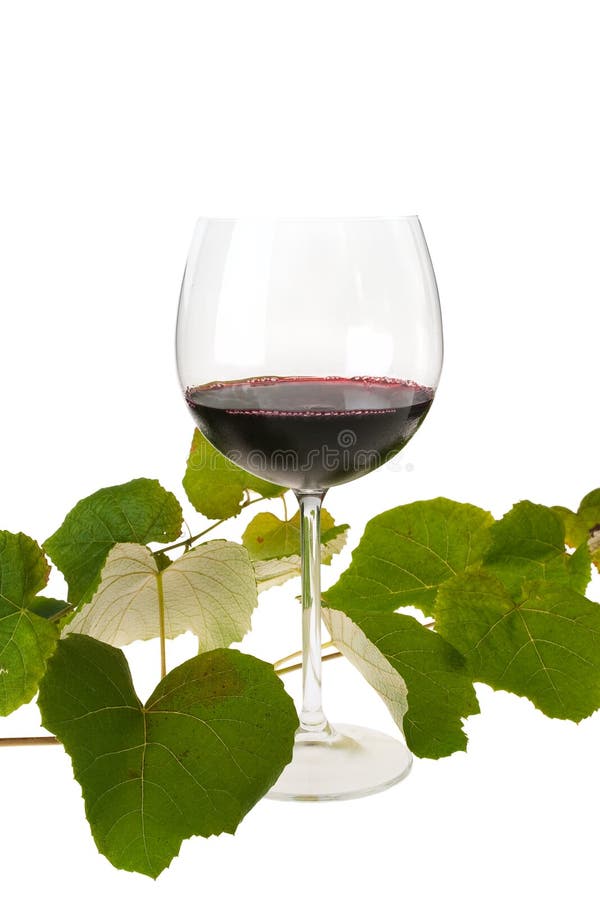 Glass of Red Wine and Vine Leaves Stock Image Image of healthy