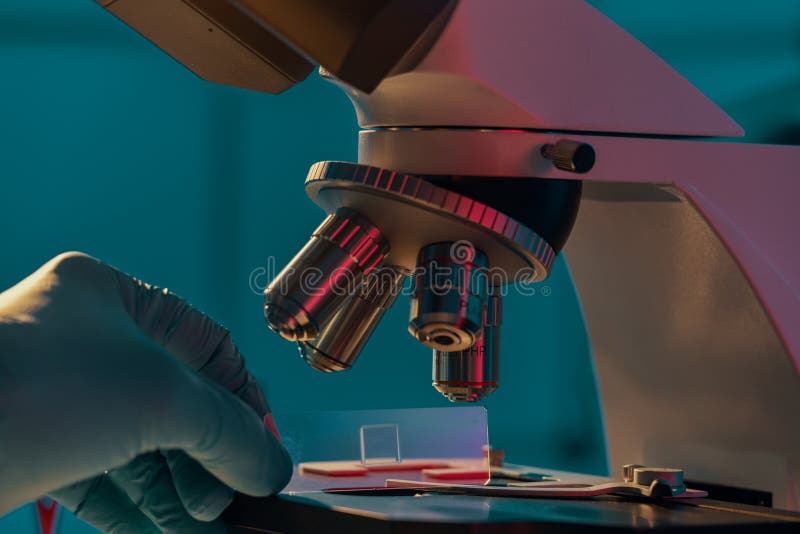 Glass slide with a tissue in hand and a scientific microscope. Screening biopsy sample in medical laboratory