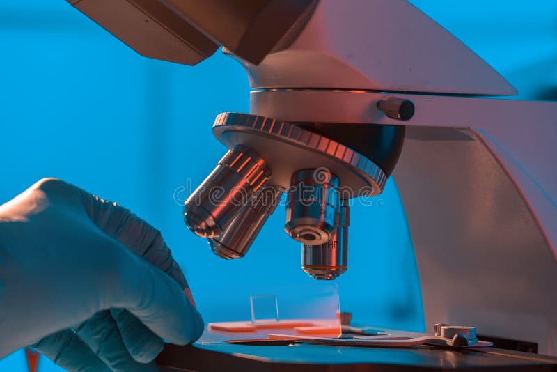 Glass slide with a tissue in hand and a scientific microscope. Screening biopsy sample in medical laboratory