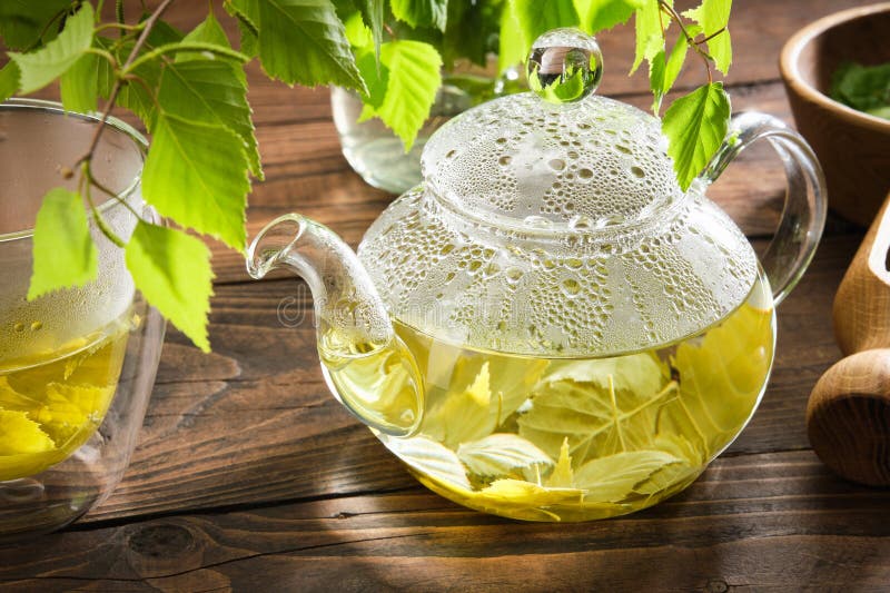 Glass teapot with birch leaf tea. Kettle and cup of healthy birch leaf tea, twigs of Birch tree with leaves. Herbal medicine stock images