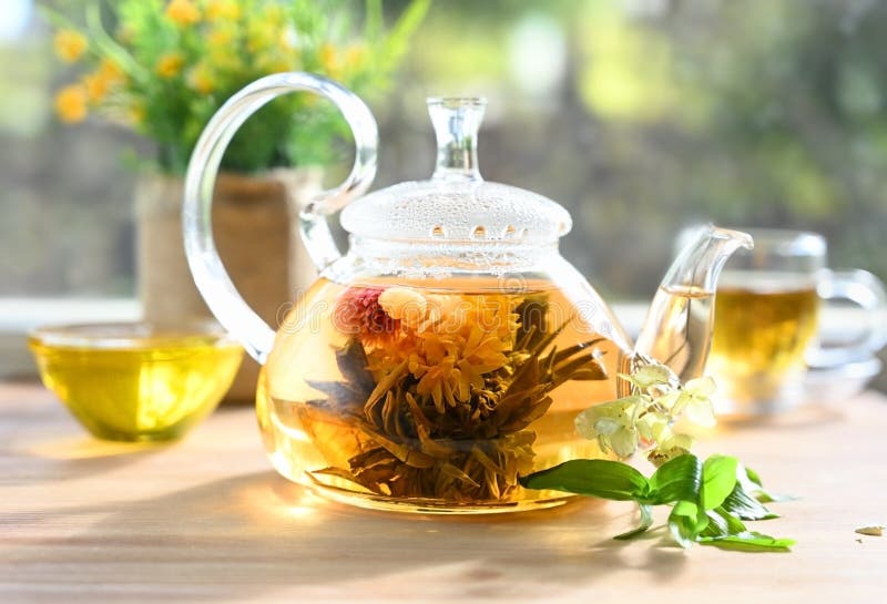 Glass Teapot with a Blooming Tea Flower Stock Photo Image of herb