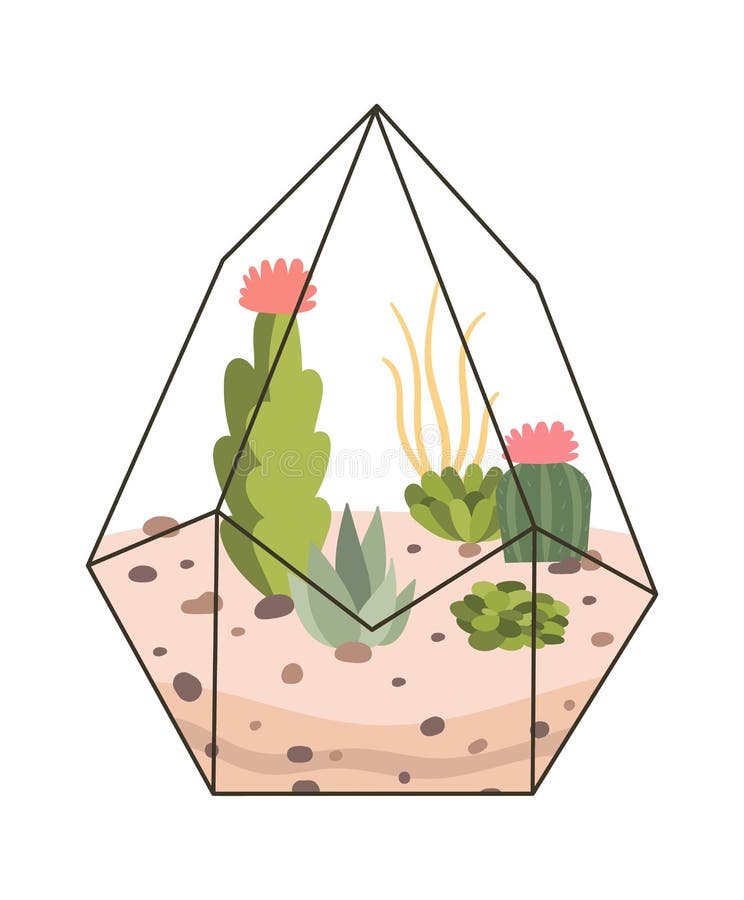 Terrarium Logo Succulent Stock Illustrations 127 Terrarium Logo