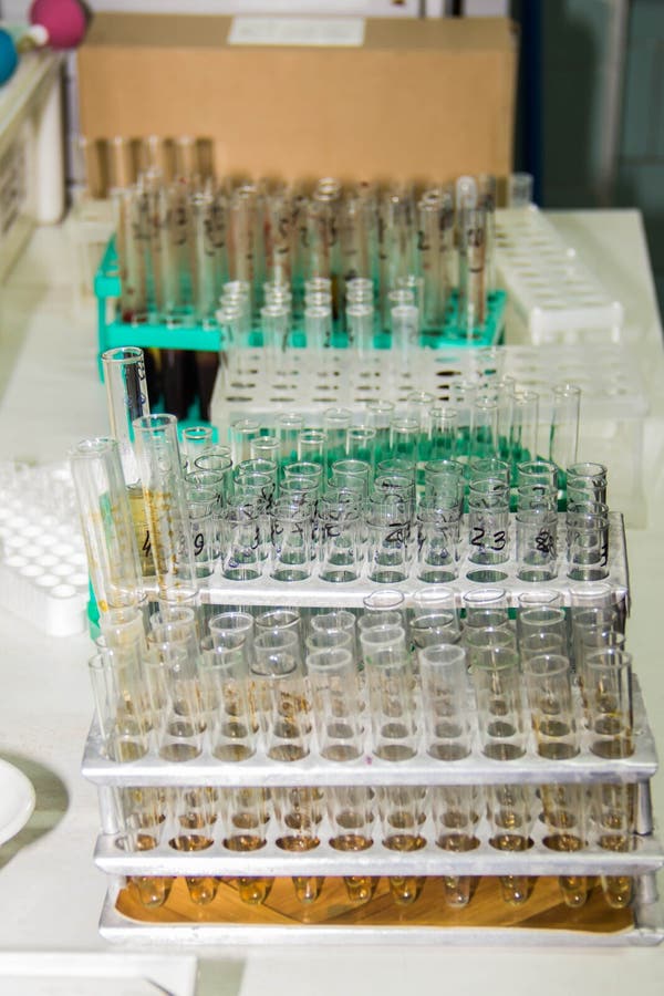 Glass Test Tubes are Placed in a Support Stock Photo - Image of health ...