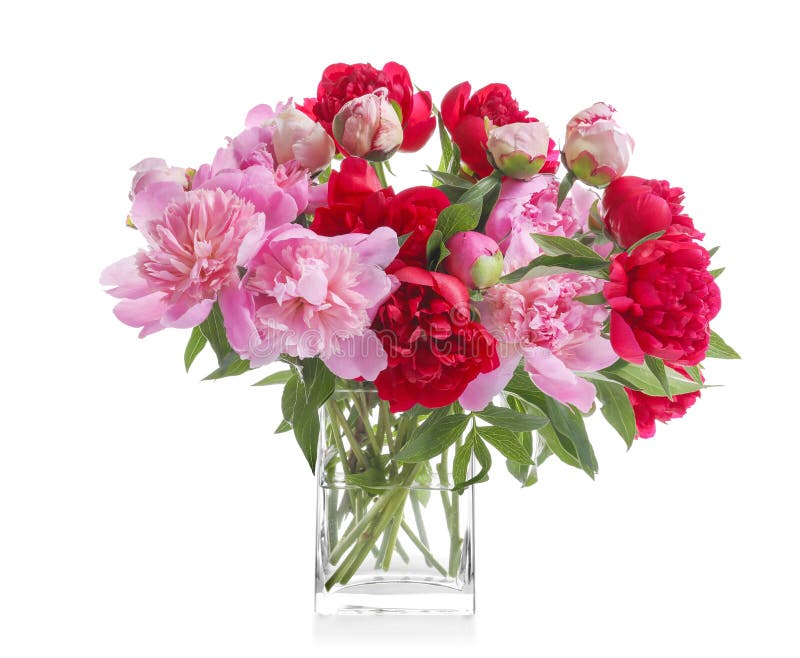 Glass vase with beautiful peonies stock photos Glass vase with beautiful peonies stock photos
