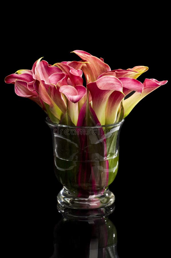 Glass vase with flowers on a black background