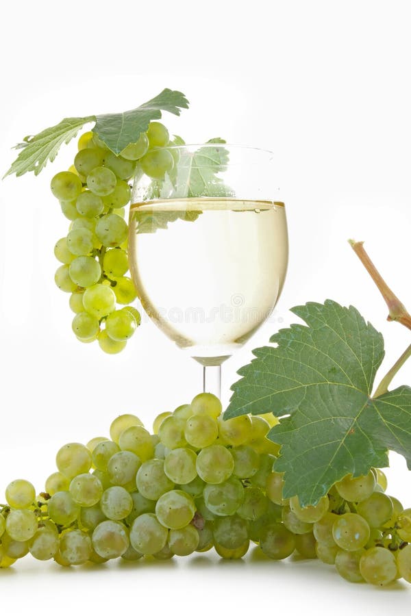 Glass of vine and grape stock photo. Image of wine, agriculture 16044152