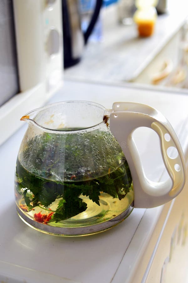 Glass Watering Can with Tea Stock Image Image of rosehip, health
